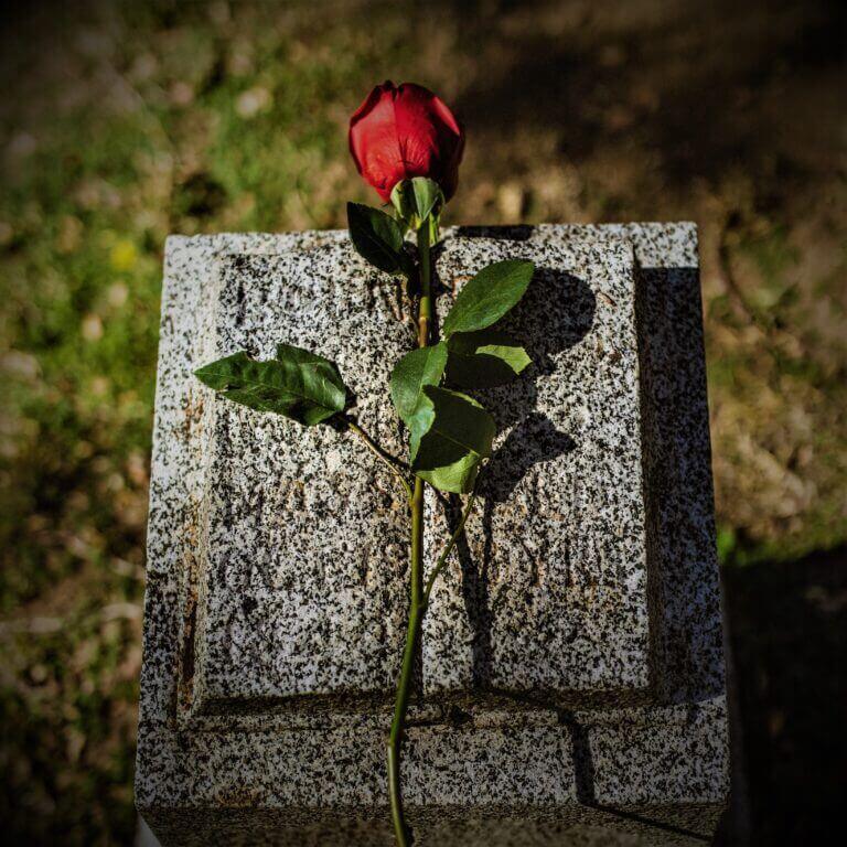 Rosa sob lapide - Luto Cruzeiro do Sul